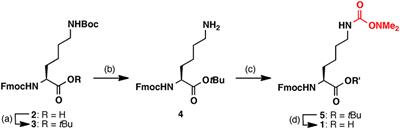 N,N-Dimethylaminoxy Carbonyl, a Polar Protecting Group for Efficient Peptide Synthesis